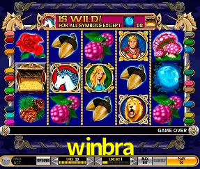 VIP Casino winbra